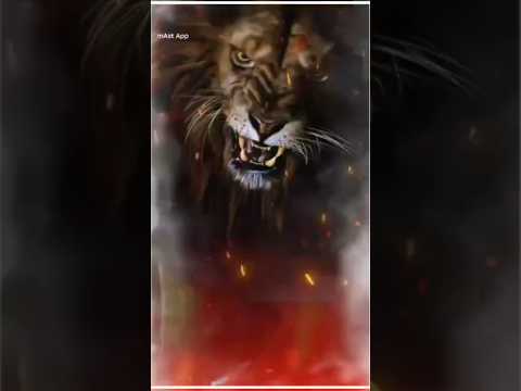 trending WhatsApp 🔥👿💪💯 #statusattitude #WhatsAppstatus #trending #shortfeed