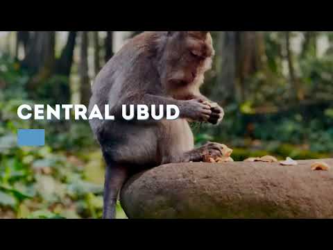 Best things to do around Ubud, Bali - Indonesia