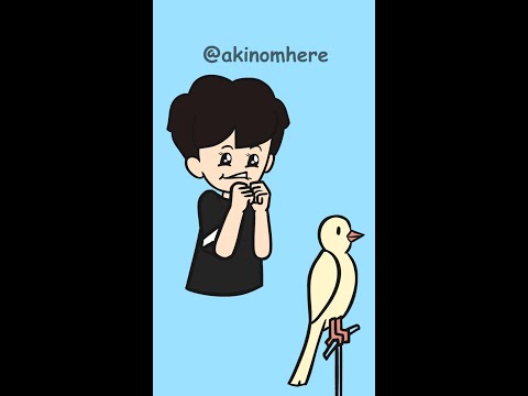 THE EARLY BIRD IS SO  ANNOYING !! | Sparrow| Akinom