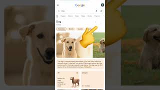 secret google easter egg part : 3 #google #secret #easteregg #satisfying #facts #surprise