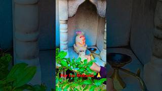 Shri Shivay namastubhyam 🙏🙏#harharshambhushivamahadeva #shorts