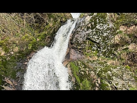 Waterfalls @Black Forest || Oppenau, Germany || Lovely Place & Nature 🤩😍