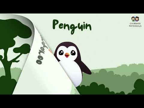 **Learn 50 Animals & Birds in 2 Minutes! 🐘🐯 Fast Animal Names for Kids | ChinnariPathasala**