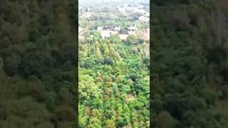 Flycam #calmdown #đaiphuhaoland #bmt #review #short #bdsshorts #flycam #bán_đất