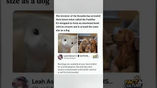 Technology vs. The Real Thing. 🤖🐕#Robotics #FutureTech #PetAdoption #TechNews #Innovation #shorts