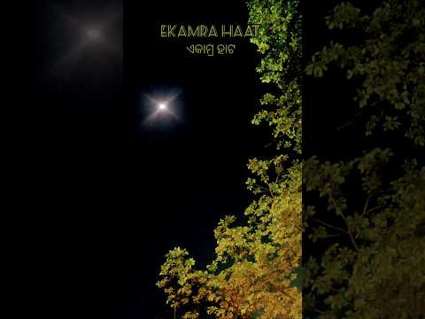 ekamra haat #beautifulevening
