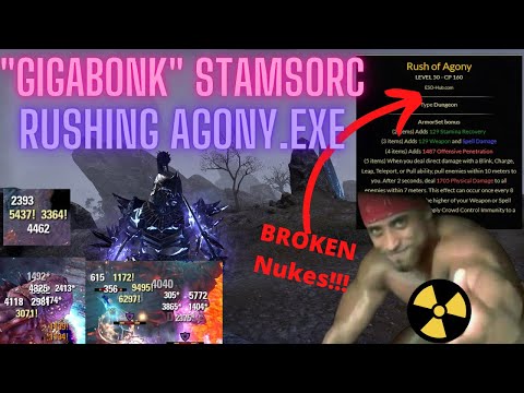 Elder Scrolls Online Stamsorc PVP: Rush of Agony.EXE
