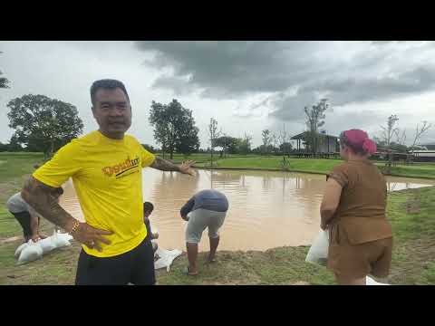 สร้างไว้ให้เอฟซีมาเที่ยวหา มาดูบ้านกลางบึงในฝันของผม แล้วมาดูว่าผมปล่อยปลาอะไร