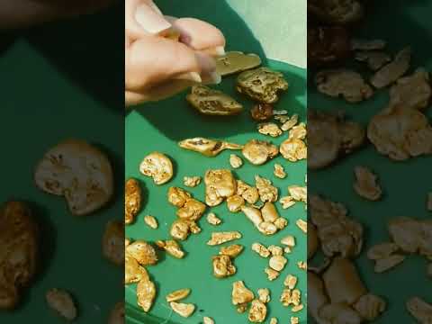 Gold miners find of a lifetime