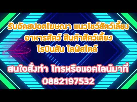 สปอต งานโชว์สัตว์เลี้ยงสินค้าสัตว์เลี้ยงสนใจอัดสปอตโทร0882197532