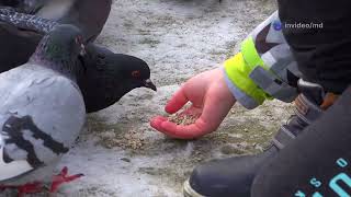 Who would you help first, animals or people?