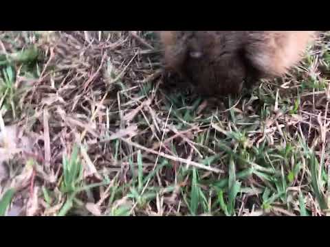 ใส่เดี่ยวEp5