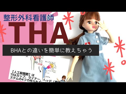 【THA】ってどーゆー手術？新人整形外科ナースがぶち当たる壁をぶち壊す！#看護師#勉強#人工股関節