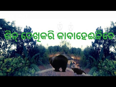 ब्लॉग बिडिऔ ସ