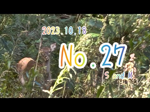 ぜーんぶちっちゃい…😩