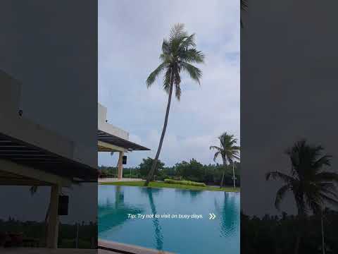 Amazing Budget Day Out Near Colombo | All-Inclusive Fun, Food & Relaxation!