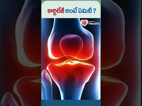 కార్టిలేజ్ అంటే ఏమిటి ? | #shorts #trending #ytshorts #healthtips #cartilage #shortvideo #healthcare