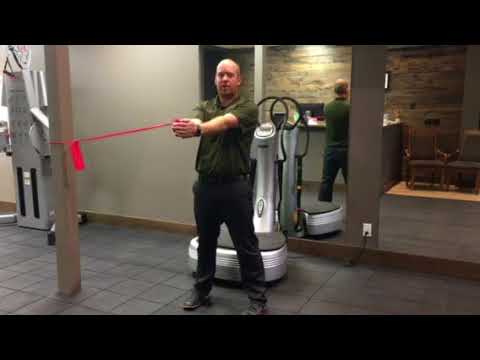 Core Activating Therapeutic Exercise for Low Back Pain using a Theraband | Pro Physio