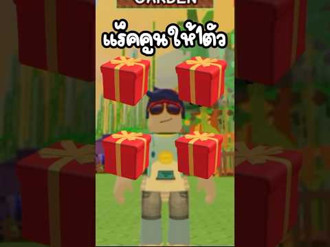 ผมซ่อนแร็คคูนไว้ในกล่องไหน!🫣🎁 #growagarden #roblox #โรบอก #แมพปลูกสวน