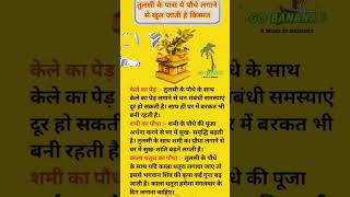 #tulsiremedies#subscribe#astrotips#like#viralshort#divinetips#youtubeshorts#blessings#manifestation