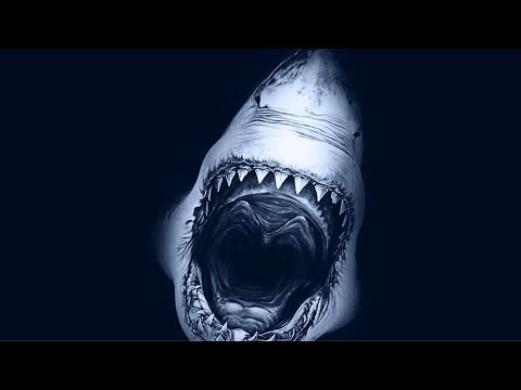 Why Megalodon Was the Ultimate Marine Predator