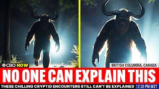 These Chilling Cryptid Encounters Still Can't Be Explained