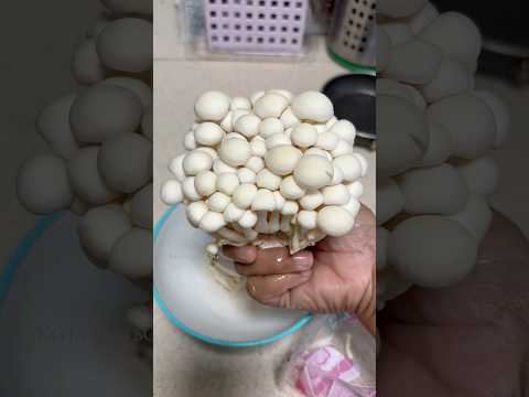 MV#411 Fry பண்ணும்போதே finish pannittom😅| Crispy Mushroom #diml #cooking #routinevlog #dimlvlogs