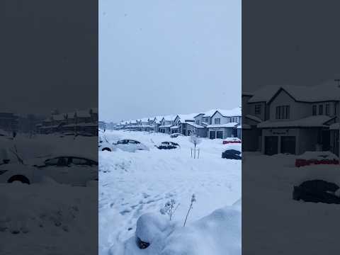 First snow of the season #canada #internationalstudents