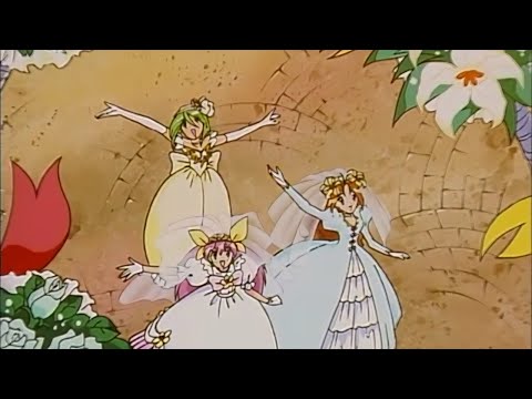 Wedding Peach [AMV] Virgin Love