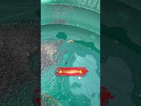 Back at My Hidden Gold Deposit… This Creek Never Disappoints