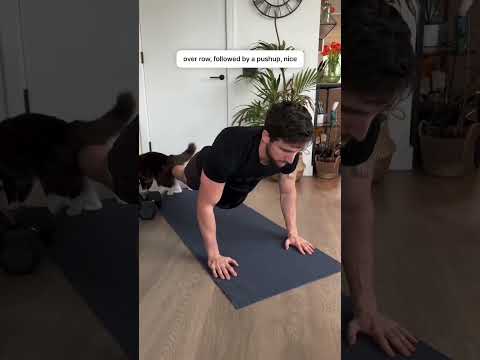 BUILD STRENGTH & MUSCLE AT HOME