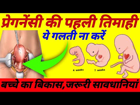 😨 प्रेगनेंसी की पहली तिमाही || First Trimester Of Pregnancy ||