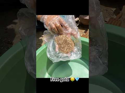 Free gold in electronics #goldextraction #goldextraction #gold