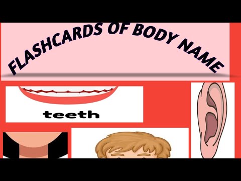 body flashcards for kindergarten @DianaRomaFriends