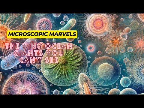 Microscopic Marvels: The Tiny Ocean Giants You Can't See #plankton #ocean #educational #learning