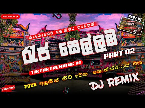 2025 Rap DJ Remix |  Sinhala Dj Nonstp | Bus Dj Remix | Rap Dj Remix |  Trending New Dj Remix