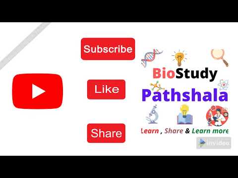 Channel Trailer