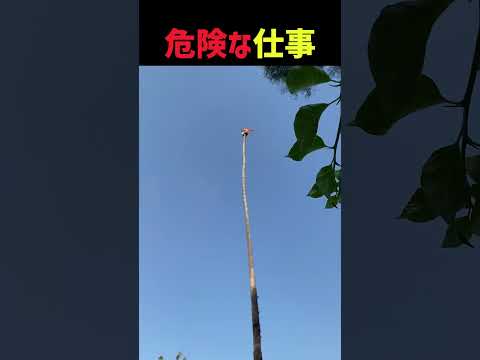 危険な仕事