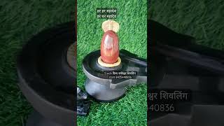 घर में कोन से शिवलिंग स्थापित करना चाहिए#originalnarmadeshwarshivling #पंडितप्रदीपमिश्रासीहोरवाले