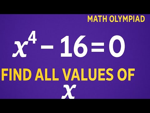 Solve x⁴ − 16 = 0 | Find All Values of x | Math Olympiad Factorization Trick!