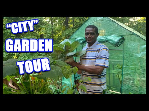 Urban Garden Tour W/ Papa Kenny || Sonia & Kenny