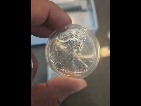 Picked up some silver for cheap?