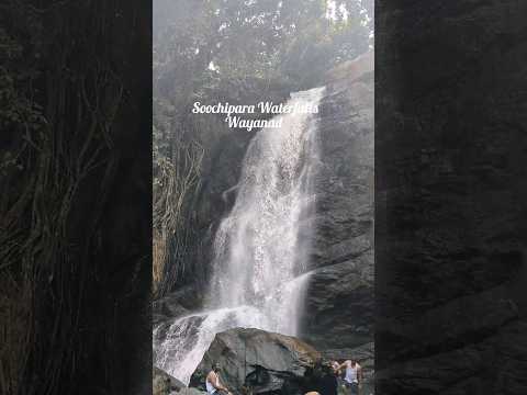 Waterfalls in Wayanad #youtubeshorts #shorts #waterfall #travel #india #nature #trending #youtube
