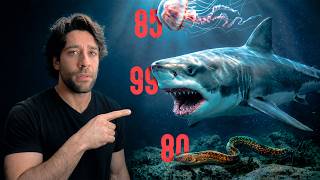 Ranking The Deadliest Ocean Predators (Tier List)