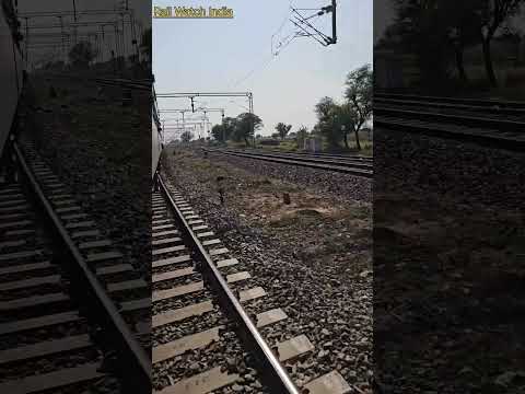 rail watch India shorts 21