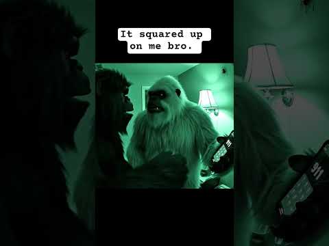 Yeti calls 911 over a spider #bigfootvlog #yetivlog