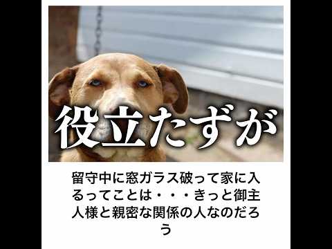 【番犬】殿堂入りボケてがマジでツッコミどころ満載だったwww【1478弾】