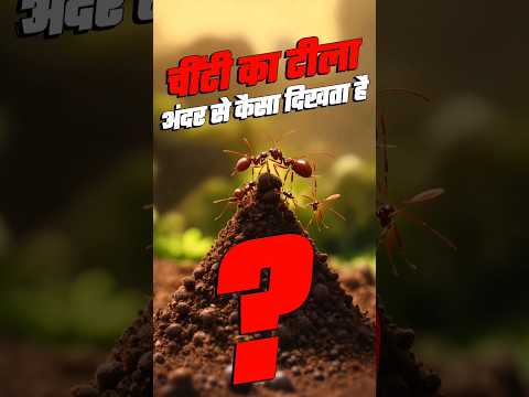 चींटियों का टीला अंदर से कैसा दिखता है? #facts #viral #shorts