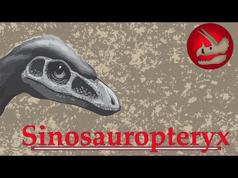 Sinosauropteryx | The Feathered Dragon that Revolutionized Dinosaurs...Twice