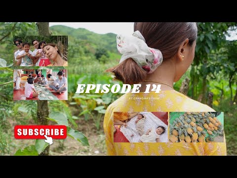 VISITING GRANDMA'S FARM - EPISODE 14 WITH SUBTITLES